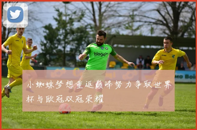 小蜘蛛梦想重返巅峰努力争取世界杯与欧冠双冠荣耀